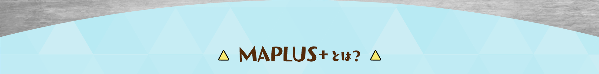 MAPLUS+とは